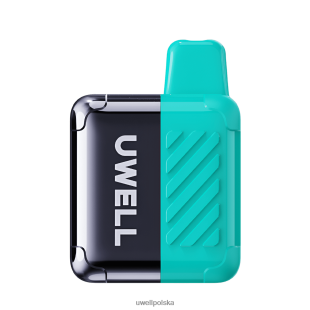 UWELL DM4000 jednorazowy waporyzator brzoskwiniowy oolong JTRRVT308 UWELL Review