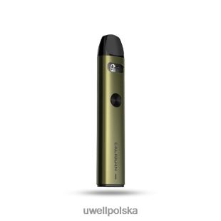 UWELL CALIBURN A2 zestaw | 15w srebro arktyczne JTRRVT10 UWELL Vape Flavours